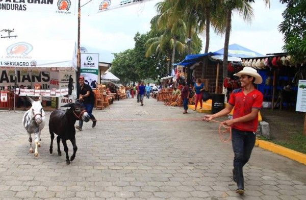 El campo Agas traerá al grupo norteño AK7 de México