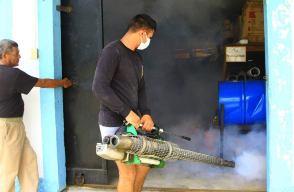 Disminuyen casos de dengue en Puerto Cortés