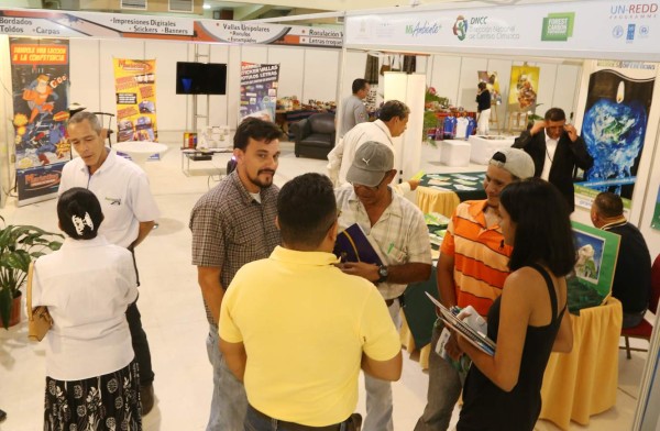 Proyectan matriz de energía en 80% renovable para el año 2018