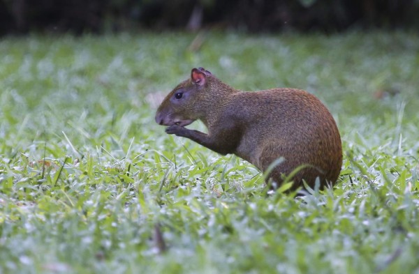 Cuero y Salado atrapa y encanta por su esplendor