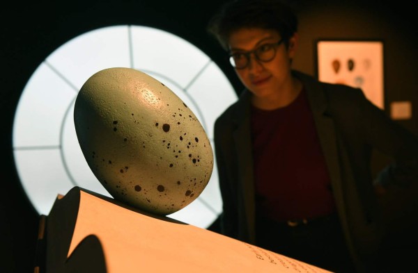 Un mágico viaje por el mundo de Harry Potter