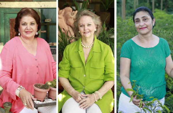 Las jardineras del gran cónclave