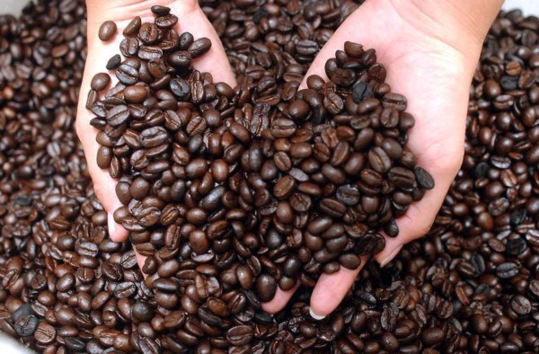 Más productores de café venderán directo a Taiwán