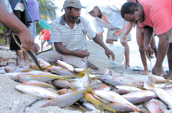 La pericia de disputarle al mar sus ricos frutos