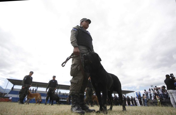 Inicia la ofensiva sin precedentes contra la criminalidad