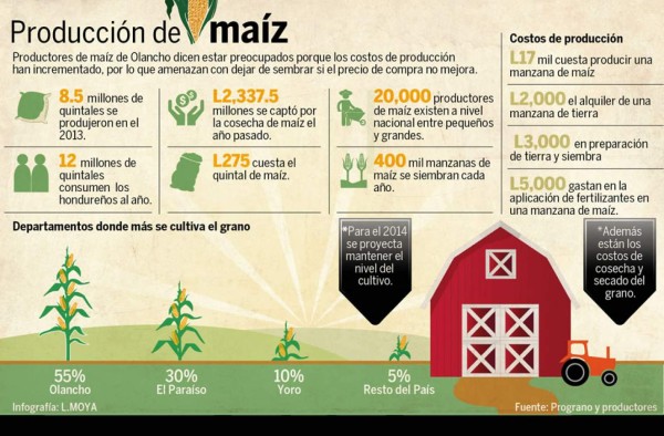 Maiceros olanchanos amenazan con migrar por baja rentabilidad