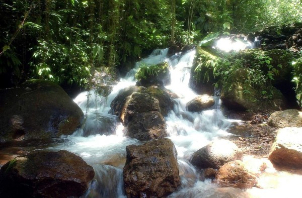 La ruta del Lago de Yojoa le espera en Semana Santa