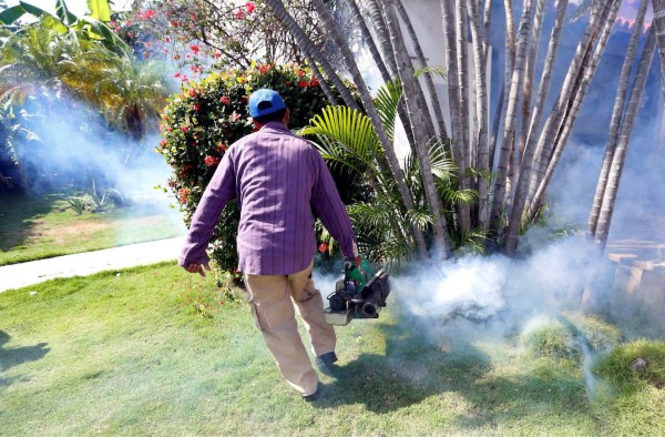 Cuba usará una bacteria para contener el dengue