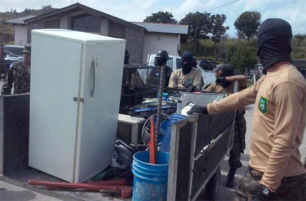 Decomisan en cárcel de Honduras perra pitbul, loros y combustible