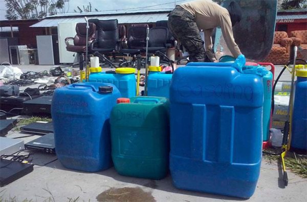 Decomisan en cárcel de Honduras perra pitbul, loros y combustible