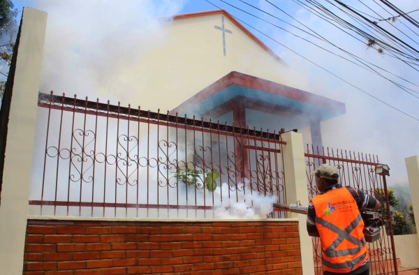 Sector sureste de San Pedro Sula será intervenido ante el Zika