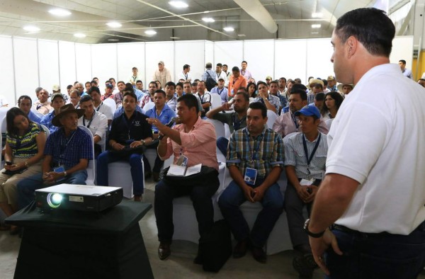 $30 millones anuales deja a Honduras venta de leche