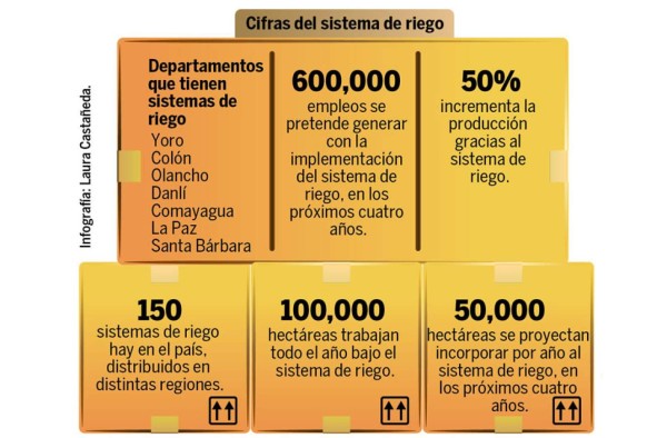 Sistemas de riego impulsan la producción agrícola en Honduras