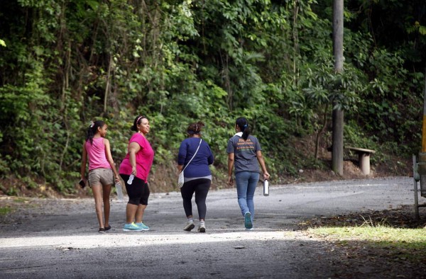 Armando Calidonio: 'No permitiré cierre de El Merendón a caminantes”