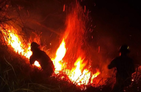 Incendio amenaza El Merendón en San Pedro Sula