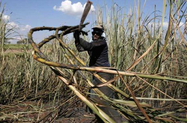 Guatemala: Exportaciones dejan $8,401 millones a octubre