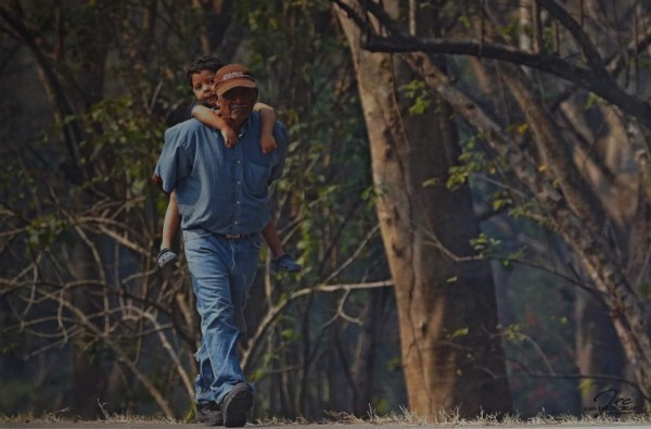 Cuando no da consulta toma fotografías y caza mariposas