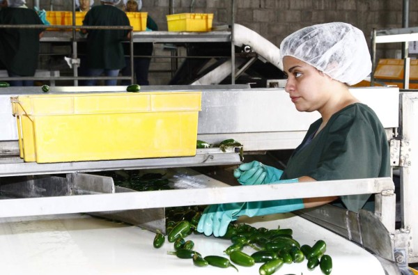 Inversión extranjera muestra lento ritmo de crecimiento