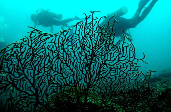 El buceo en barcos hundidos se convierte en tendencia turística en México