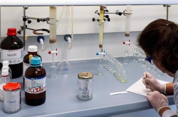 Proyecto internacional descubre cinco genes que aumentan el riesgo de Alzheimer