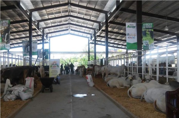 El Agas abre sus puertas al público con un abanico de diversión