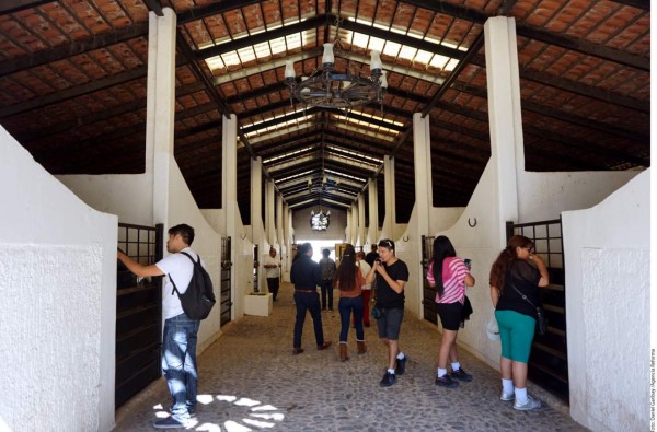 Vicente Fernández dice adiós, ¡Pero sigue siendo el rey!