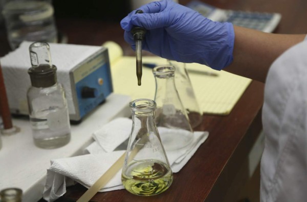 Menos palma y más maíz y frijoles, recomienda experto