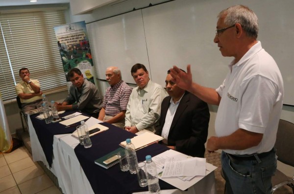 Cultivos de cacao serán objeto de investigación