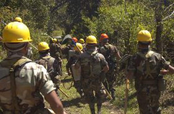 FF AA desmantela 583 aserraderos artesanales