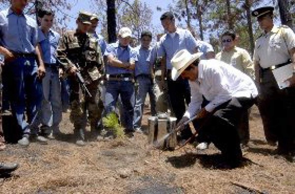 Inaugurada jornada forestal