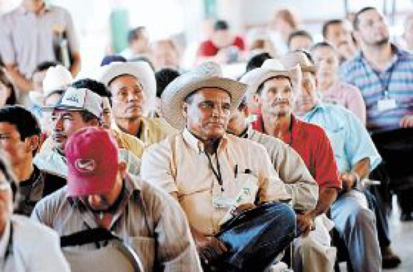 Campesinos piden al Gobierno derogar la Ley Agrícola