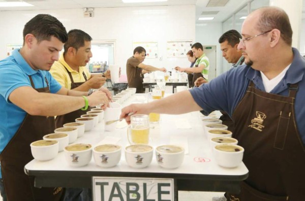 Taza de Excelencia abre más mercados