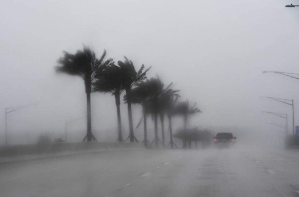 Tormenta tropical Emily se aproxima a la costa oeste de Florida