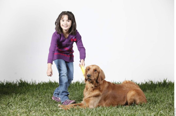 5 reglas básicas para pasear al perro