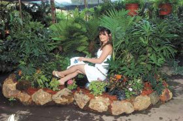 Consejos para adquirir plantas