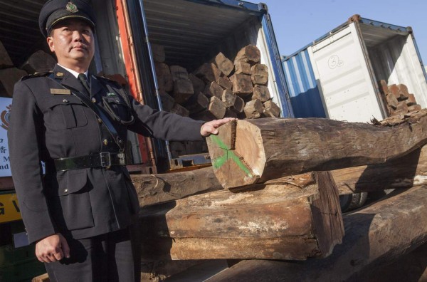 Madera preciosa hondureña incautada de contrabando en China