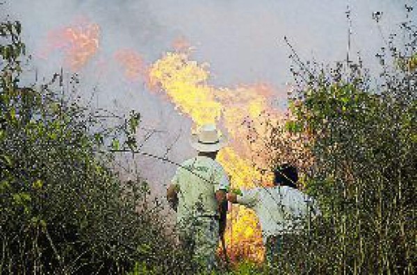 Arde por dos días cerro El Picacho