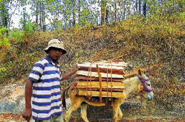 En peligro zona de reserva