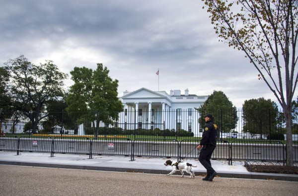 Los perros de la Casa Blanca detuvieron a intruso que saltó la reja