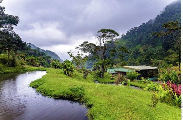Costa Rica, un lugar para refugiarse en sus bosques&nbsp;&nbsp;