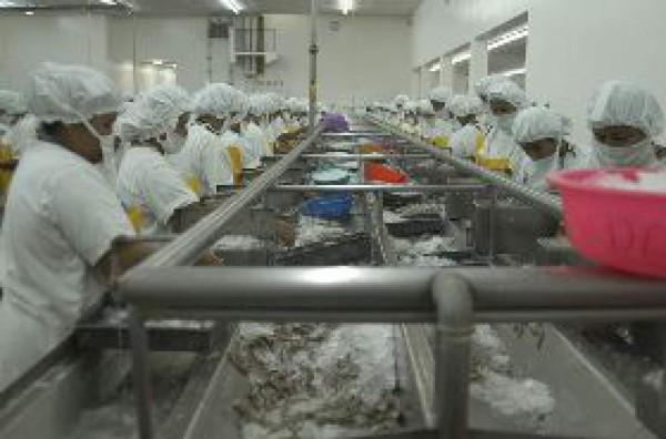 Exportaciones agrícolas rondaron los $ 1 mil millones en 2006