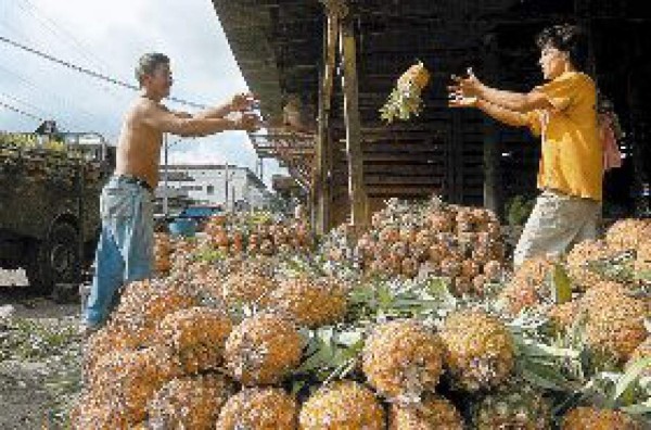 Jalea de piña, nuevo sabor de exportación