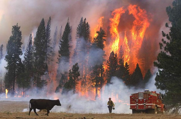 Incendio arrasa con un poblado del estado de California