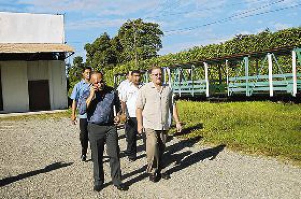 Listo proyecto para abrir la calle ocho
