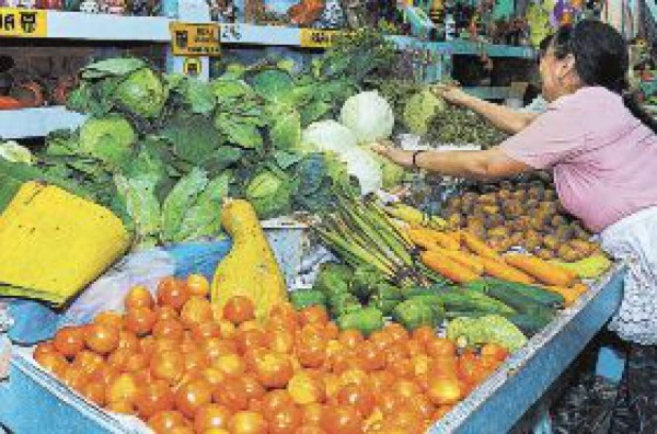 Buscan producir más hortalizas y reducir su importación