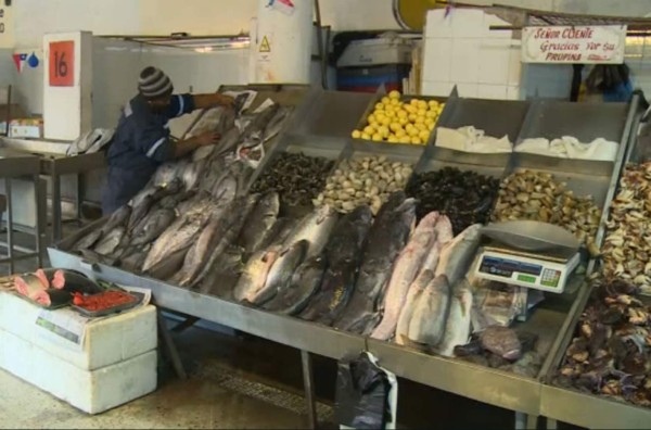 La crisis de la merluza en Chile