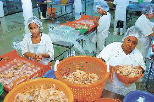 Reducirán flota de barcos pesqueros