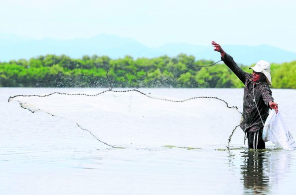 Camaroneros de Honduras les ponen sabor mexicano a sus exportaciones