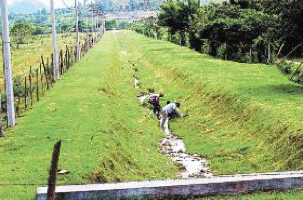 Benefician a familias con limpieza de quinel