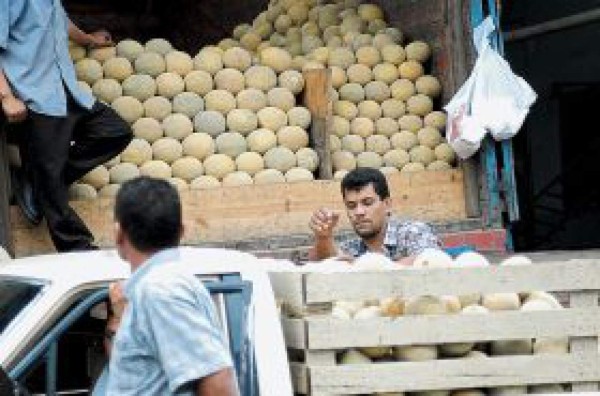 Ventas de melón dejan $ 30 millones